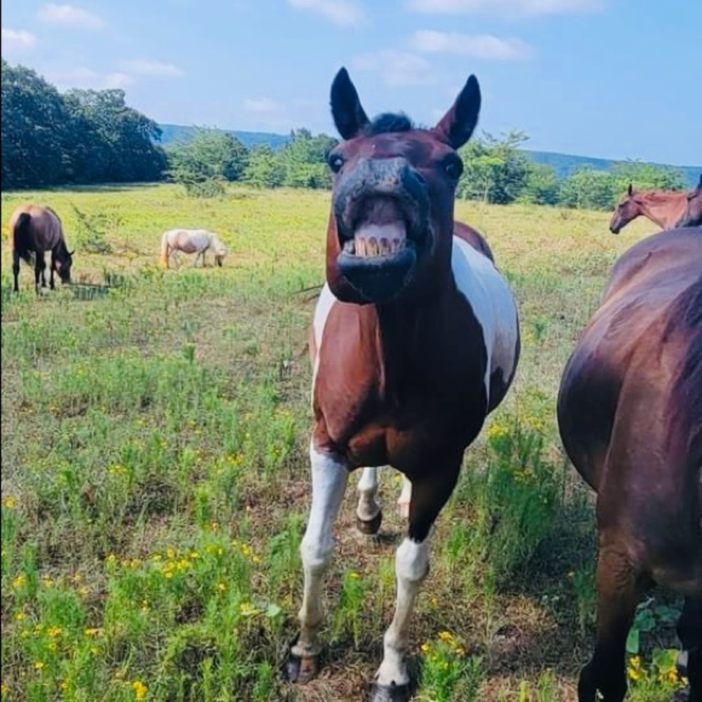 Make me an offer on clothes!